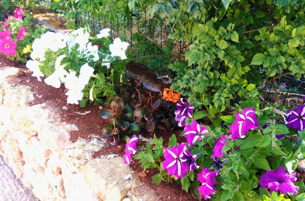 Di Scopello -